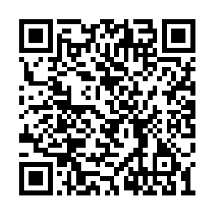眼梢瞟了一眼木策温和的面庞和绅士有礼的表情二维码生成