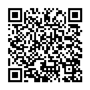 眼看着再过片刻便要与之前被毁去的秘宝一样了二维码生成