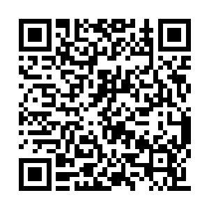 眼眸中多了几分连他自己都难以理解的认可……二维码生成