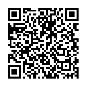 眼睛又是不由自主地看向了自己那出现了几条红色血线的手掌二维码生成