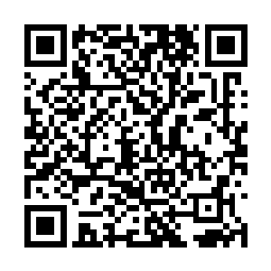 眼睛扫了一眼市公安局长李法瑞和政法委书记姚战二维码生成