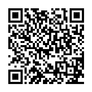 着实没想到他们五人会这么快掌握这个阵法的布置要诀二维码生成