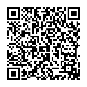 着身旁的司空苏娜都僵硬着脸伸手拿过检测舱旁那叠备用的黑色紧身衣上的一件二维码生成