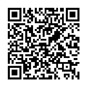 着重讲了第一次和第二次在琅琊遭遇屠龙士的场景二维码生成