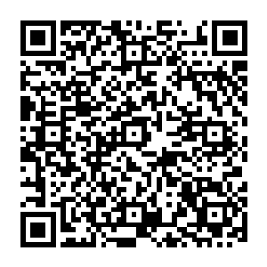 着黑纱的管家林嫂指着桌上都快冷掉的饭菜劝着主位上端坐的一位头发半白的中年外国男人二维码生成