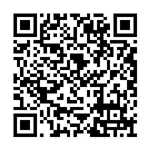 瞬间一股精神爆棚的感觉让他的精神力瞬间恢复二维码生成