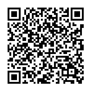 瞬间在半空中形成了一只金色灵猫的形态……这是银脚小猫本体的模样二维码生成