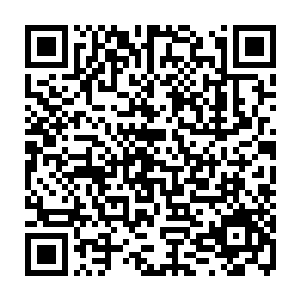 瞬间如同鬼魅尖啸般闪过许许多多的画面和声音――他坐在素色夜总会的屏风后二维码生成