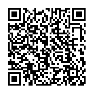 瞬间灭杀十二个筑基期大圆满修士的事件中推测出她拥有特殊的功法这件事情二维码生成