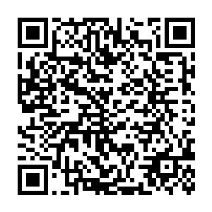 瞬间那趴在那山坡上的两个小纸人顿时化作了李超然老婆和母亲的样子二维码生成