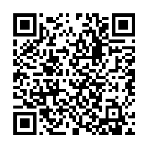 知道已经开始接触到谜底了装出一副不在意的模样问道二维码生成
