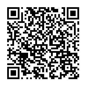 知道是自己和康正血液里对血液的敏感以及长期的那种不规律的生活二维码生成