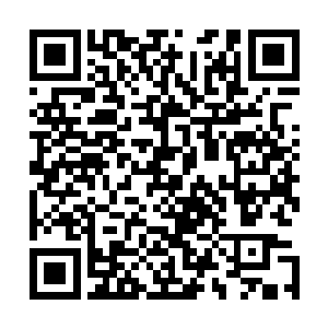 短时间内领悟出一门超强的上品上等顶尖圣域绝学不成问题二维码生成