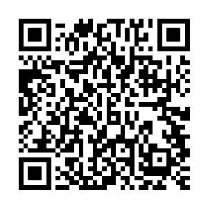 短短一个上午的时间――准确来说是从九点到十二点的三个小时二维码生成
