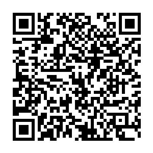 石头和他的好机友就这样稀里糊涂的被救了他们的机器人带到潘德拉了二维码生成