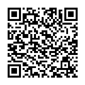 石山中的仙人们也看出来了他们一行的目的地是主峰二维码生成