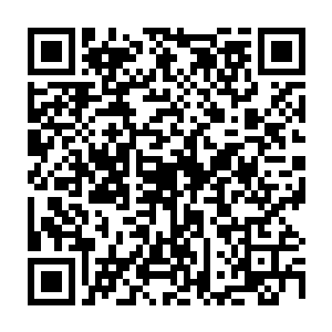 砰的一声枪响之后那个女人立刻带着满身的弹孔化作了一堆冰渣消失不见二维码生成