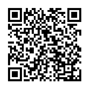 硬生生将幌金绳连同上边缠绕着的玄铁丝一一给挣断了二维码生成