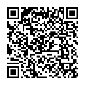 硬生生是将贫穷落后的白河谷地描述成了一个极具发展潜力的领地二维码生成