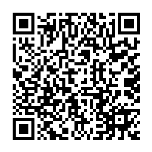 硬生生的就把昏迷过去的南宫勋给搁着墙头丢尽了南山宗大门里头二维码生成