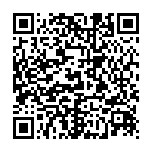 确实就像叶秋所说的那样这件衣服将她所有的优点都完美地凸显出来了二维码生成