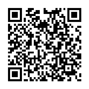 确实是一网打尽……这个消息虽然已经传出去了二维码生成