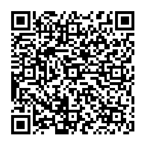 确实是很周全的方案……在他失去执行能力时提升组织中第四强的你作为代理执行者二维码生成