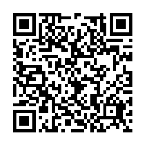 确实非常珍贵……其中的每一把剑都是异常强大的二维码生成