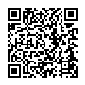 确认确实其是不是自己几年前所见的那个原本老态龙钟的宗主二维码生成