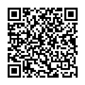 碰到了吞蛇这种变态神兵加变态主人加变态环境的的局面二维码生成