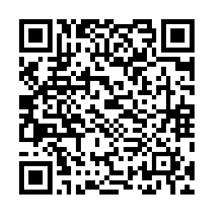 磕了药才敢玩游戏的怂人……他们跟你讲得话你也能信么二维码生成