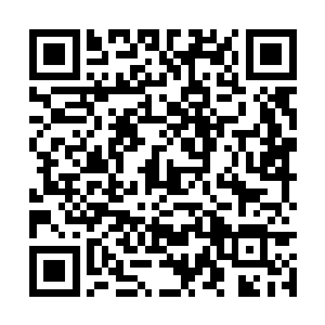 礼部尚书夏大人是过来跟燕无双汇报周琰的丧事的二维码生成