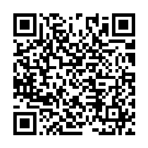 祖父祖母大伯父大伯母还是强塞给了我不少的银两二维码生成