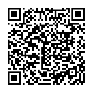 神使稍一琢磨就明白这小面人大概就是父神近期一直在偷窥的凡人的形象二维码生成