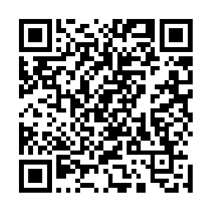 神凰岛和南海魔域主岛的面积恐怕纵横万余里都极有可能了二维码生成