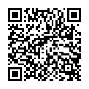 神家也早就变成了消失在历史长河之中的无数过往之一二维码生成