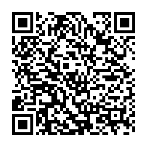 神州精灵现在越来越觉得让夏天成为他的守护者是最正确的做法了二维码生成