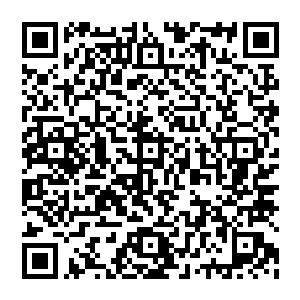 神庙的其他三方天际　龙太子等人同时被这光柱惊醒　表情依旧不一　但最为难看的则是之前还微笑的陆逊二维码生成