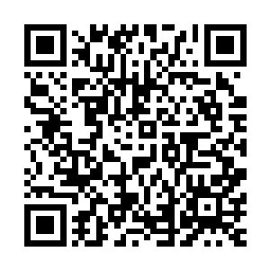 神御主宰只有掌握领悟了属于神御主宰的圣阶神御三昧的力量二维码生成
