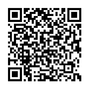 神念师是只有那些宇宙中排的上名的大家族和大二维码生成