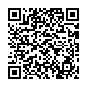 神明操控法则这类技巧类的战斗力量的作用被无限缩小了二维码生成