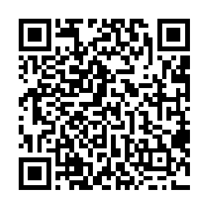 神清气爽的贝海回到了甲板上顺带着就解除了土狗的任务二维码生成