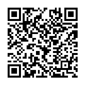 神秘人才会将所有人的睡眠时间定到了十二个小时二维码生成