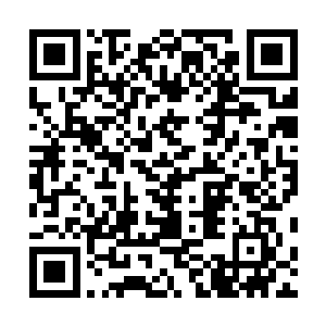 神级机甲师毫无疑问操控的就是联邦的终极武器神级机甲二维码生成