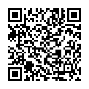 神虚后期的修士在海澜修真界已经是位列巅峰的层次了二维码生成