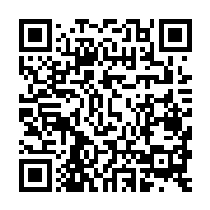 神龙龙骨苍茫之精第一始祖血翼的羽毛魔王的犄角泰坦之血等等二维码生成