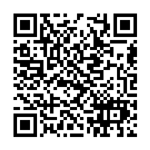 禹欢一下了电动车子和周夏两人就向着桶跑了过去二维码生成