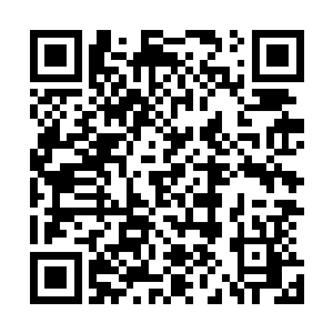 离开了墓穴…………万古魔坑边缘一千一百里――一片寂静二维码生成