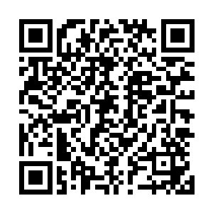 科学家和研究员们立刻马上开始紧张的分析之前对撞的数据二维码生成
