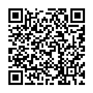 秘书长这才同意推荐你到市委书记那里当一段时间的秘书的二维码生成